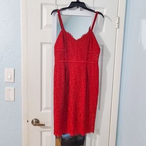 Express Red Lace Dress